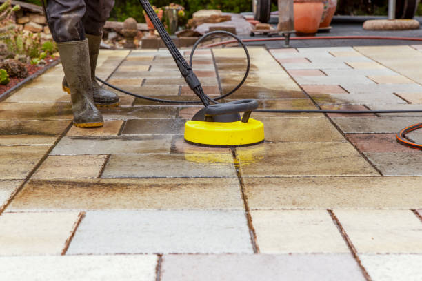 Best Patio and Deck Pressure Washing  in Citrus Park, FL